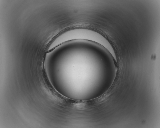 X0000111820168200907231326