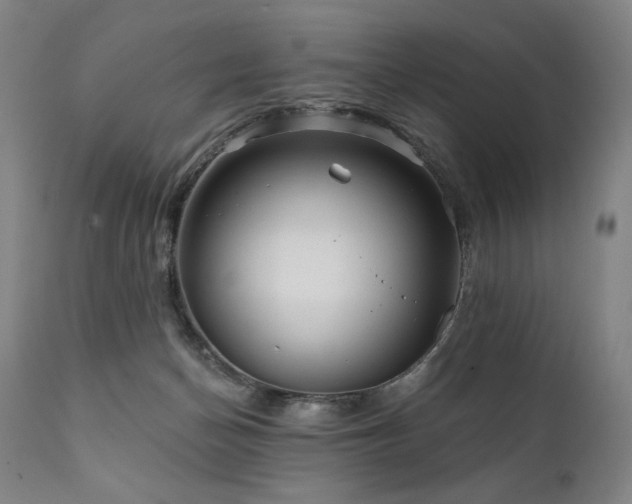 X0000111820174200907231326