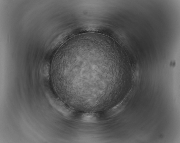 X0000111820175200907231326