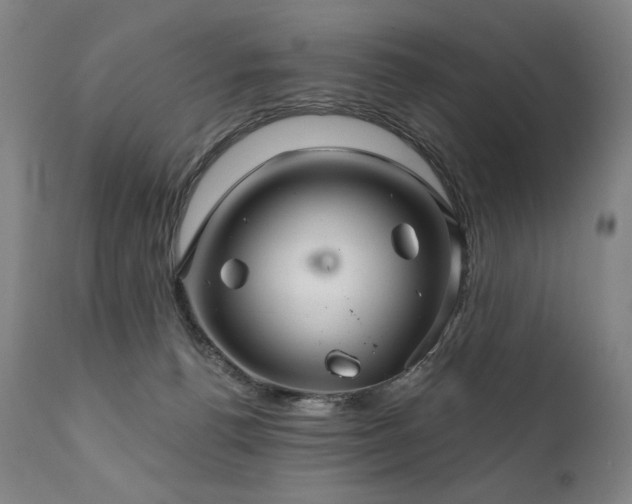 X0000111820176200907231327