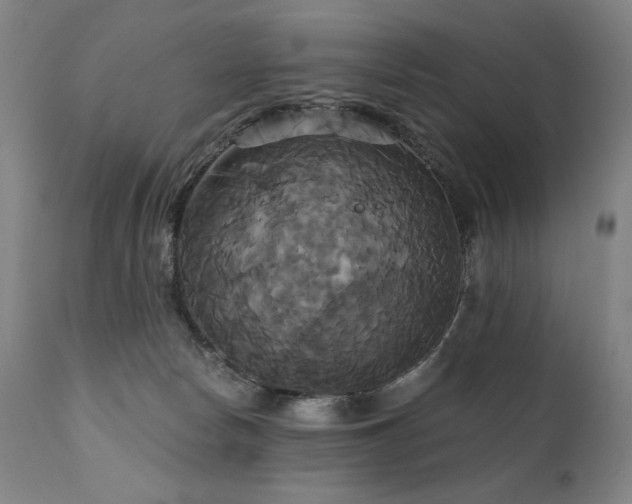 X0000111820178200907231327