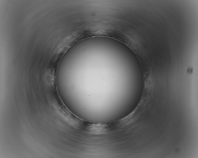 X0000111820179200907231327