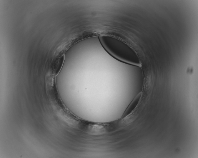 X0000111820180200907231327