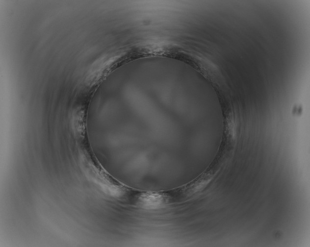 X0000111820181200907231327