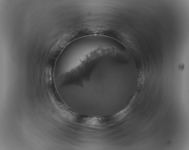 X0000111820182200907231327