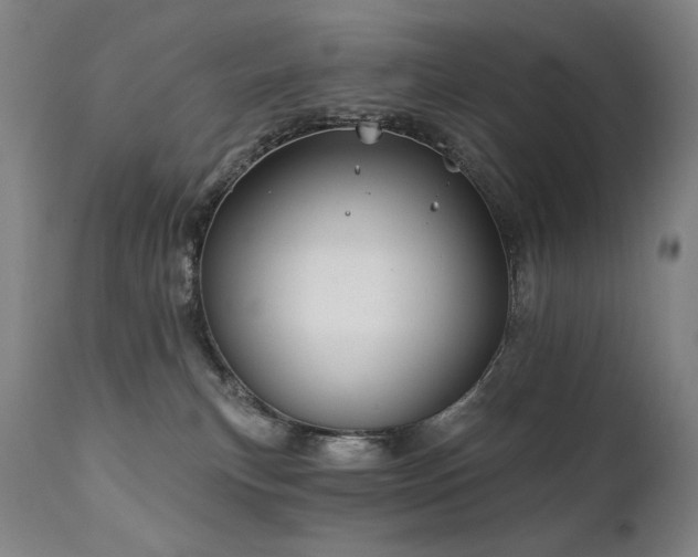 X0000111820183200907231327