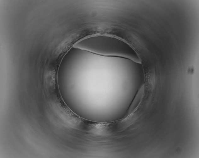 X0000111820184200907231327