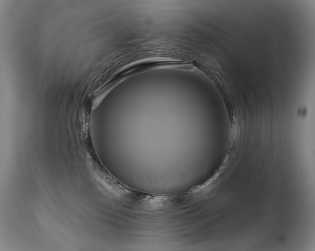 X0000111820186200907231327