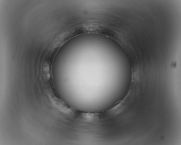 X0000111820187200907231327