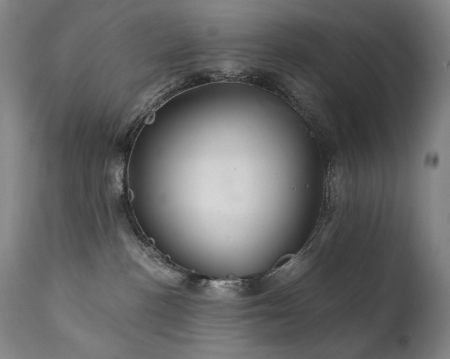X0000111820188200907231327