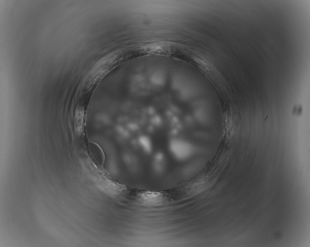 X0000111820189200907231327