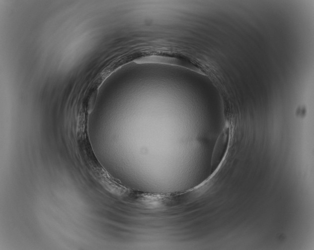 X0000111820190200907231327