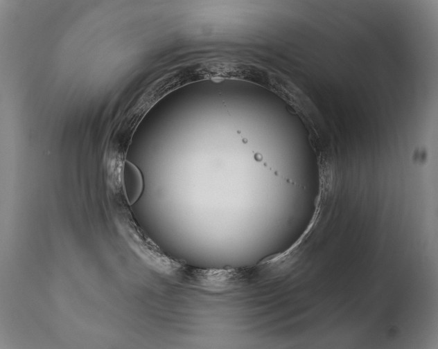 X0000111820191200907231327