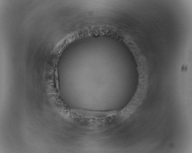 X0000111820192200907231327