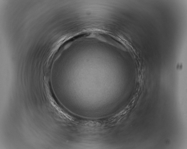 X0000111820193200907231326