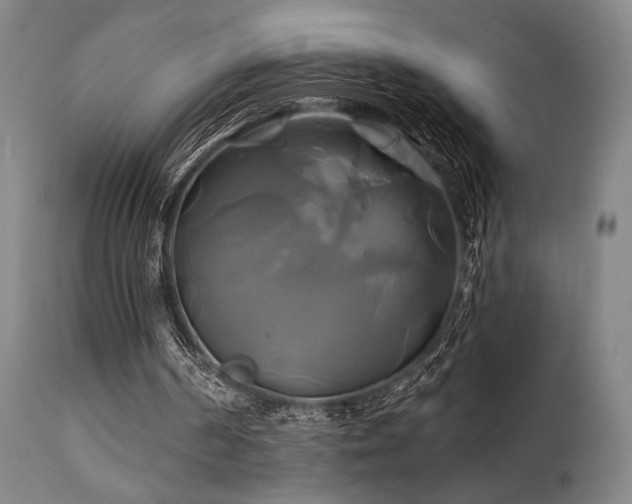 X0000111820194200907231326