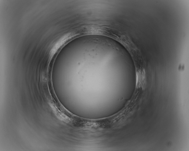 X0000111820195200907231326