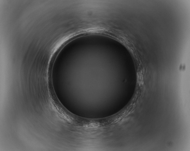 X0000111820196200907231326