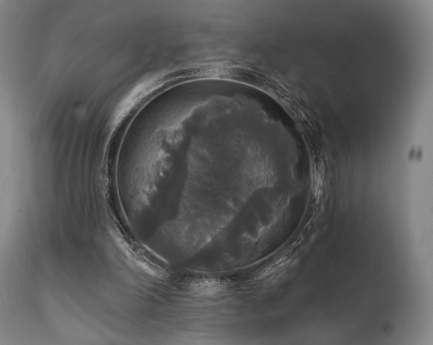 X0000111820198200907231326