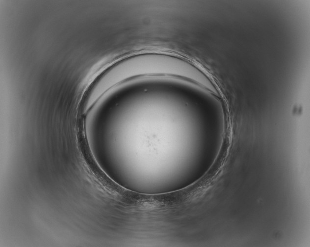 X0000111820199200907231326