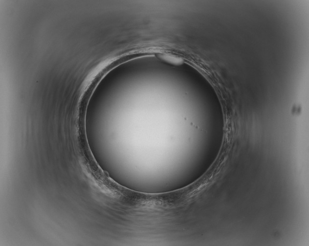 X0000111820200200907231326