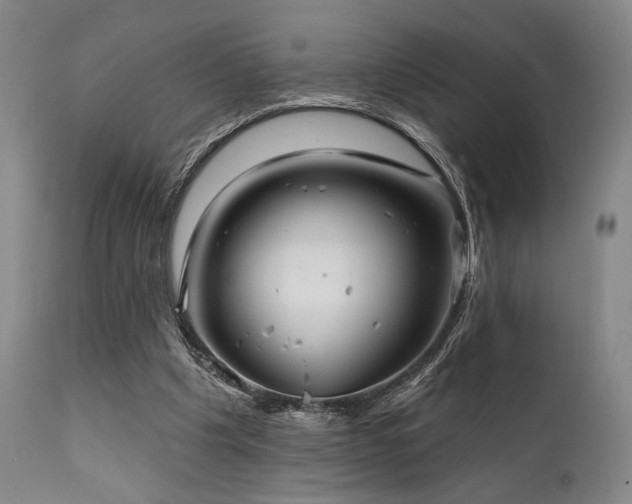 X0000111820201200907231326