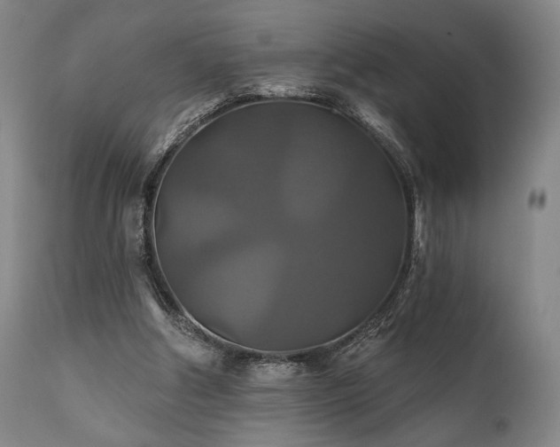 X0000111820202200907231326
