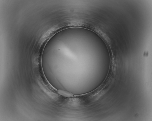 X0000111820203200907231326