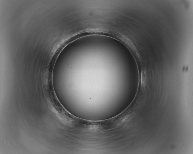 X0000111820204200907231326