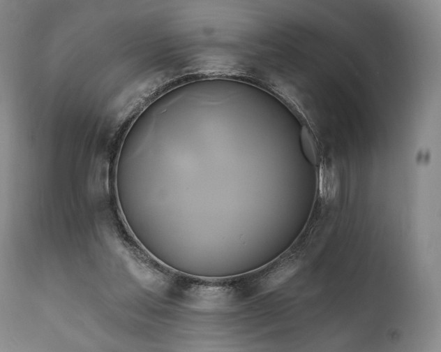 X0000111820205200907231326