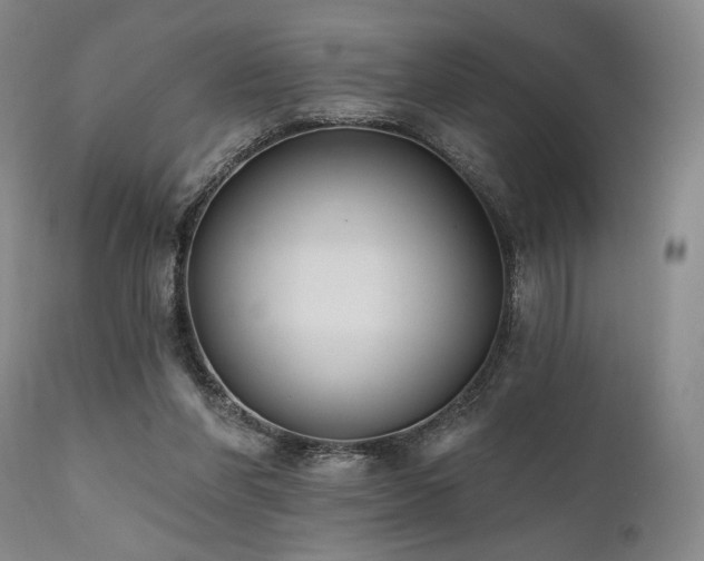 X0000111820206200907231326