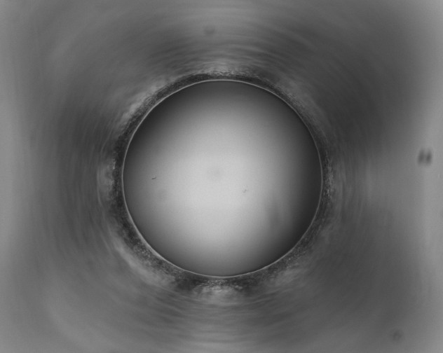 X0000111820208200907231326
