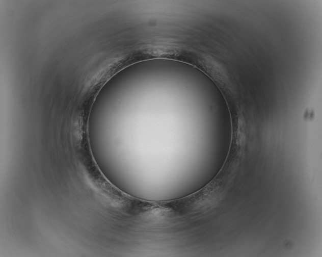 X0000111820210200907231326