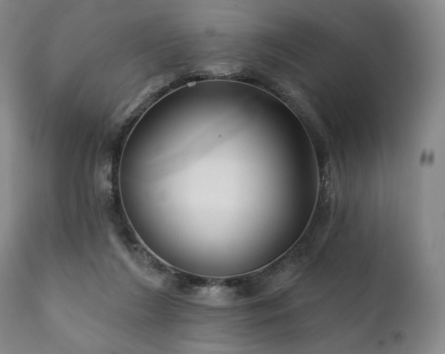 X0000111820212200907231326