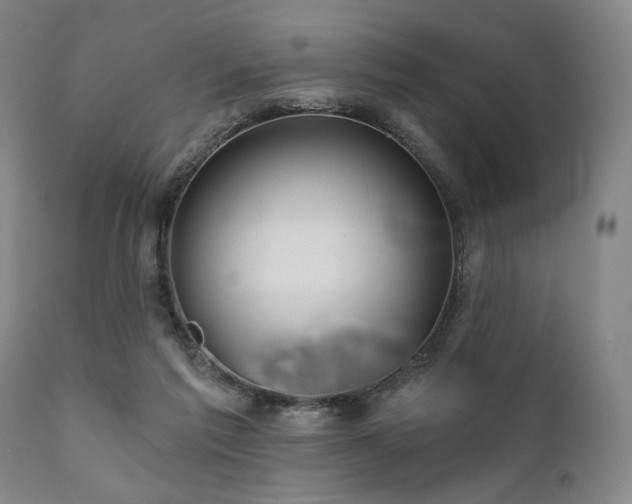X0000111820213200907231326