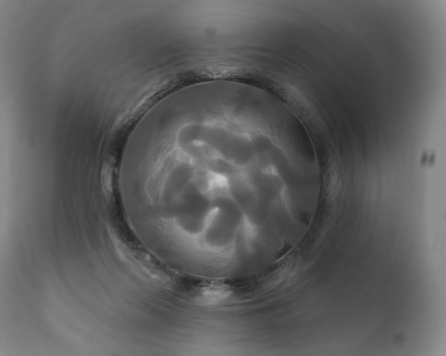 X0000111820214200907231326