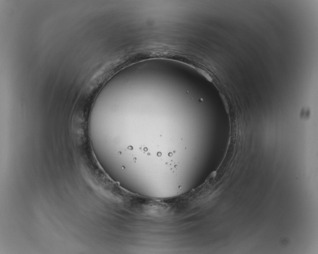 X0000111820215200907231326