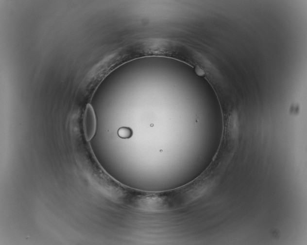 X0000111820217200907231326