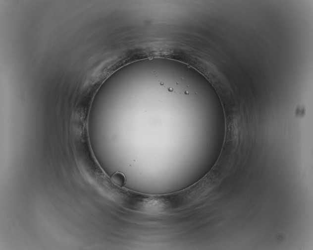 X0000111820218200907231326