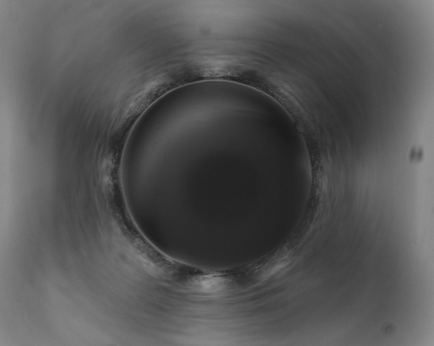 X0000111820219200907231326