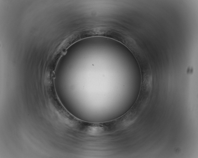 X0000111820220200907231326