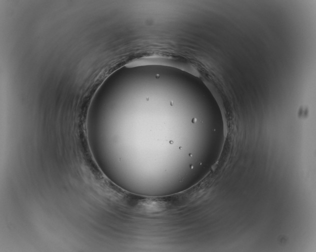 X0000111820221200907231326