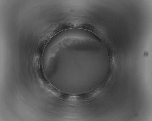 X0000111820222200907231326
