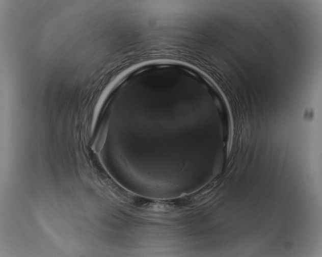 X0000111820223200907231326