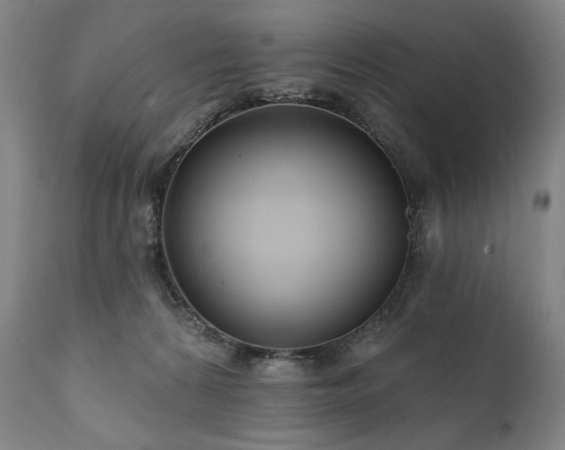 X0000111820224200907231326