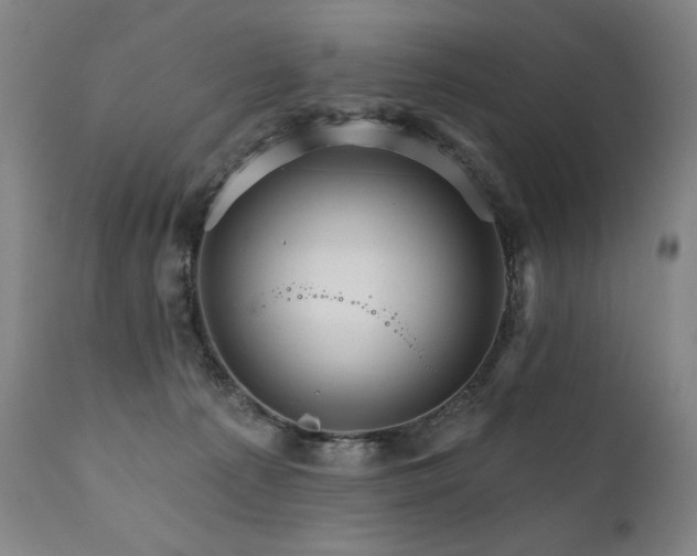 X0000111820225200907231326