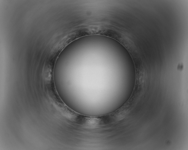 X0000111820226200907231326