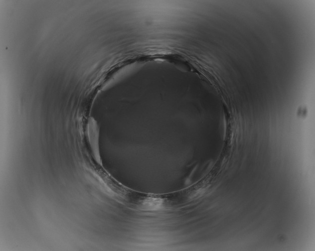 X0000111820227200907231326