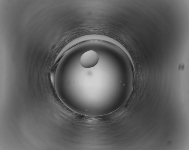 X0000111820229200907231326