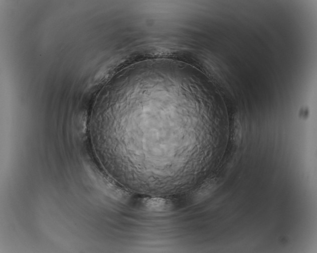 X0000111820230200907231326